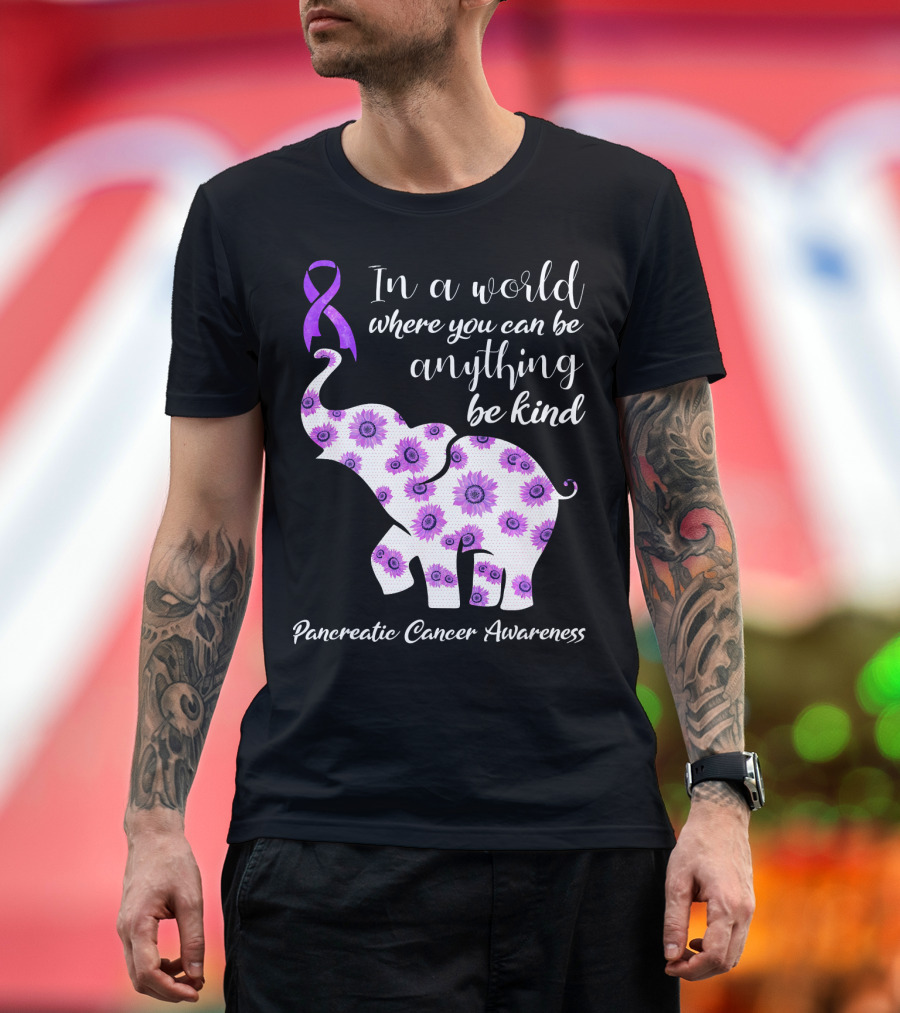 In a World Where You Can Be Anything Be Kind Pancreatic Cancer Awareness T-Shirt