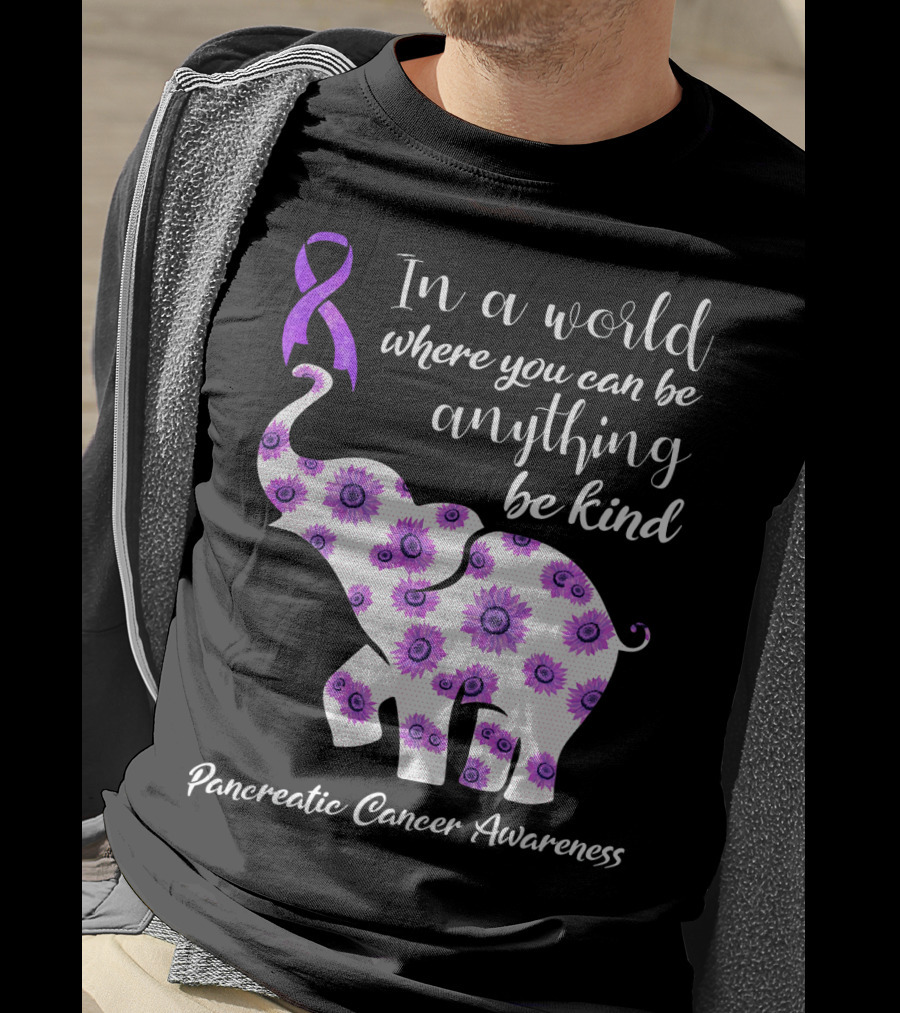 In A World Where You Can Be Anything Be Kind Pancreatic Cancer Awareness T-Shirt