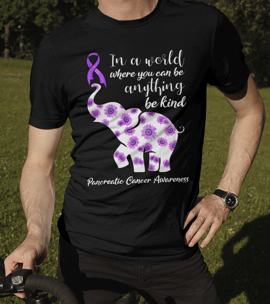 In A World Where You Can Be Anything Be Kind Pancreatic Cancer Awareness T-Shirt