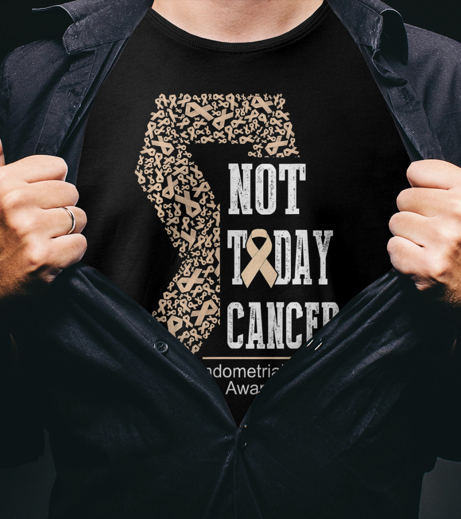 Not Today Cancer Endometrial Cancer Awareness T-Shirt