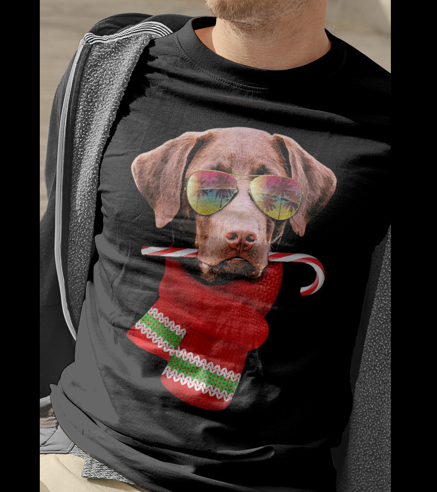 Christmas In July Labrador Sunglasses Candy Cane Scarf T-Shirt