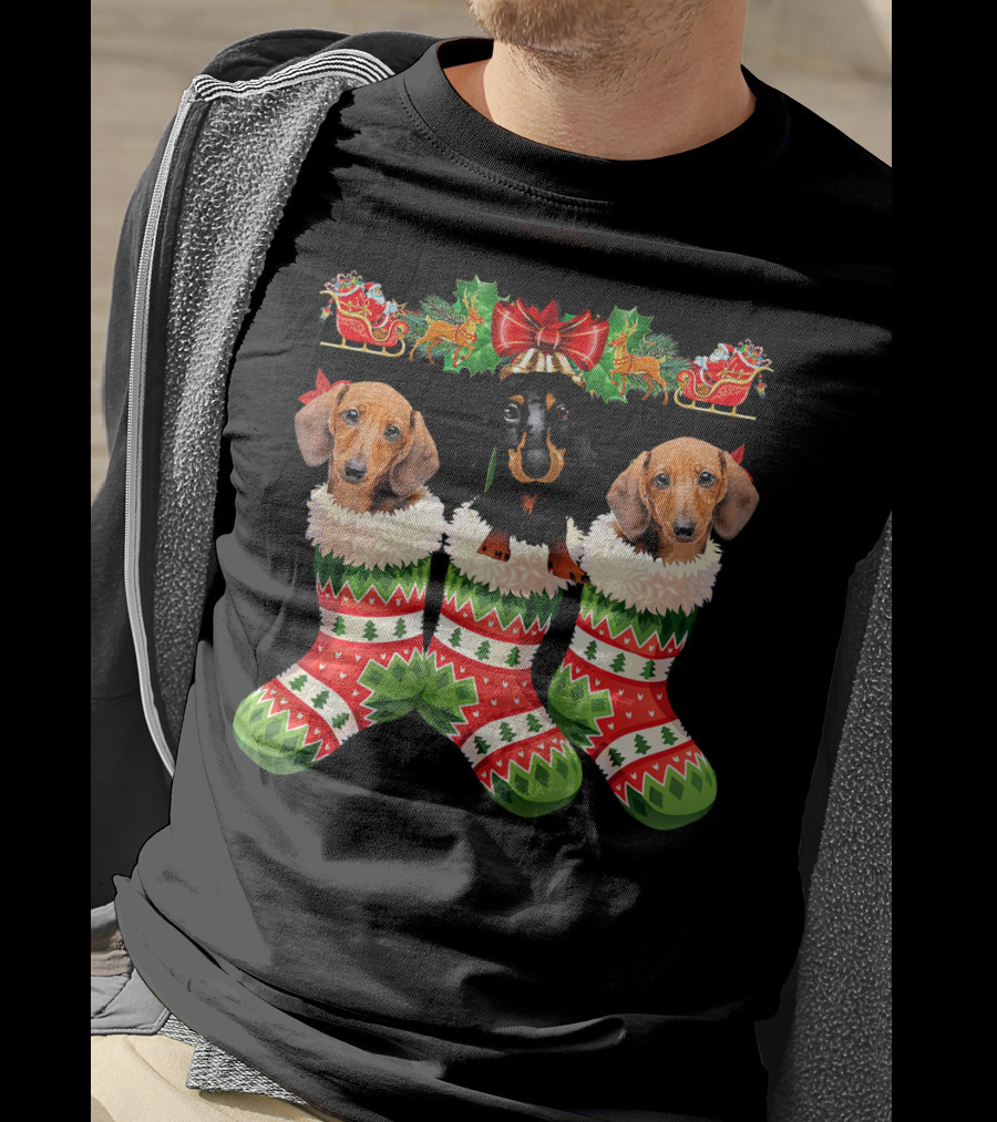 Dachshund Christmas Dogs In Festive Stockings T-Shirt