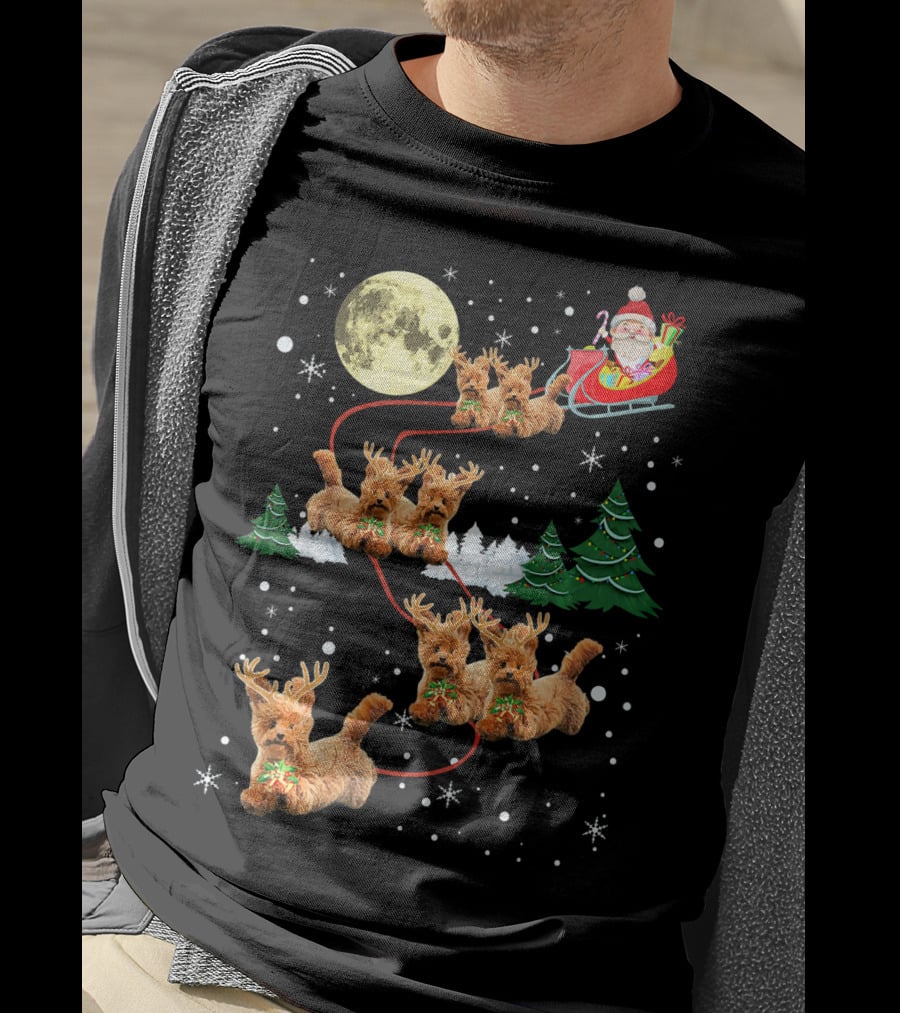 Funny Reindeer Dogs With Santa Sleigh Under Full Moon T-Shirt