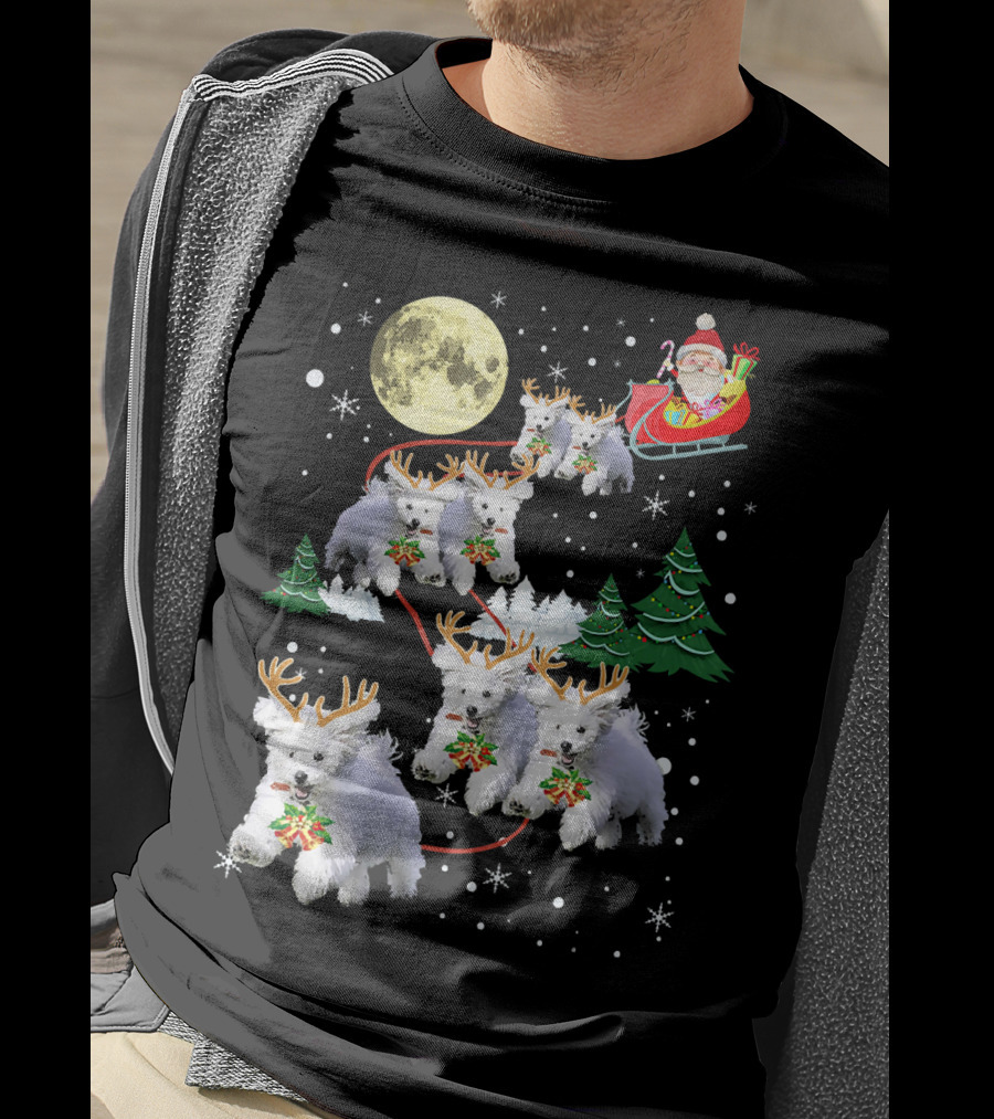 Funny Maltese Christmas Santa Claus Sleigh Reindeer Dogs Pajama T-Shirt
