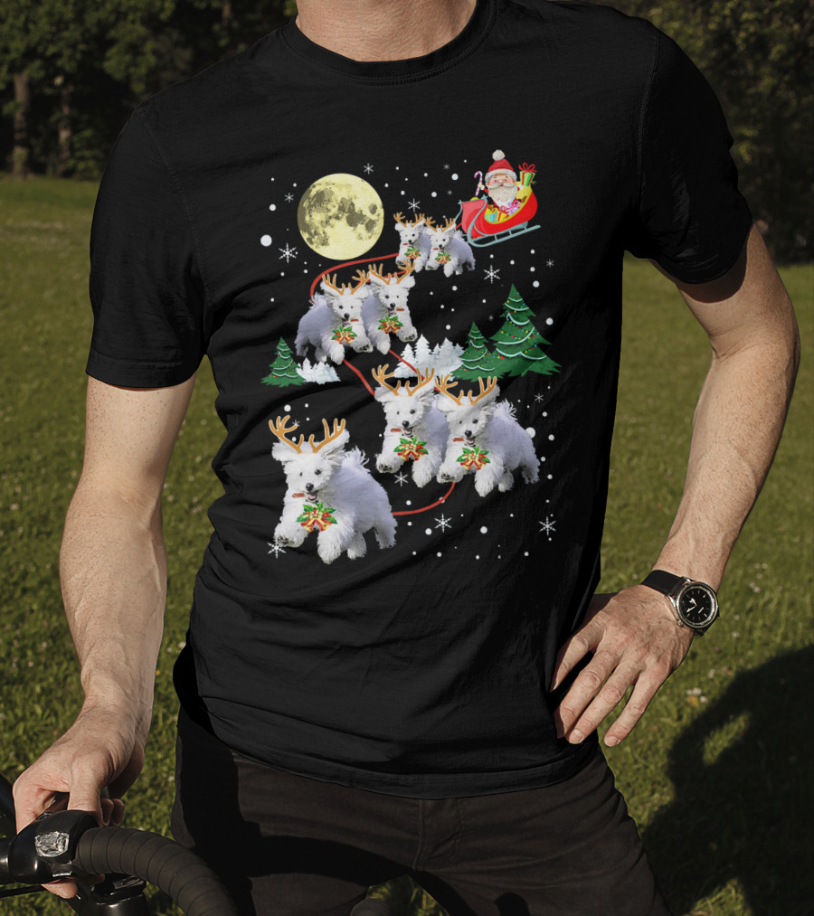 Funny Maltese Christmas Santa Claus Sleigh Reindeer Dogs Pajama T-Shirt