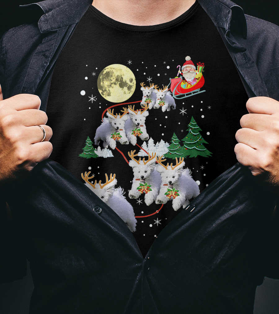 Funny Maltese Christmas Santa Claus Sleigh Reindeer Dogs Pajama T-Shirt