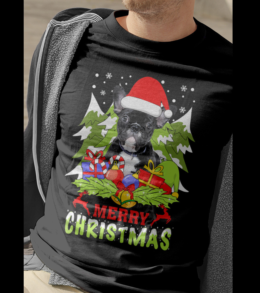 Merry Christmas French Bulldog Santa Hat Gifts Snowflakes T-Shirt