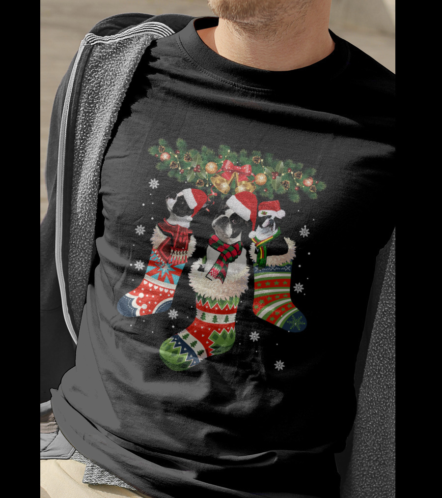 Three Boston Terrier In Christmas Stockings With Santa Hats And Festive Scarves T-Shirt