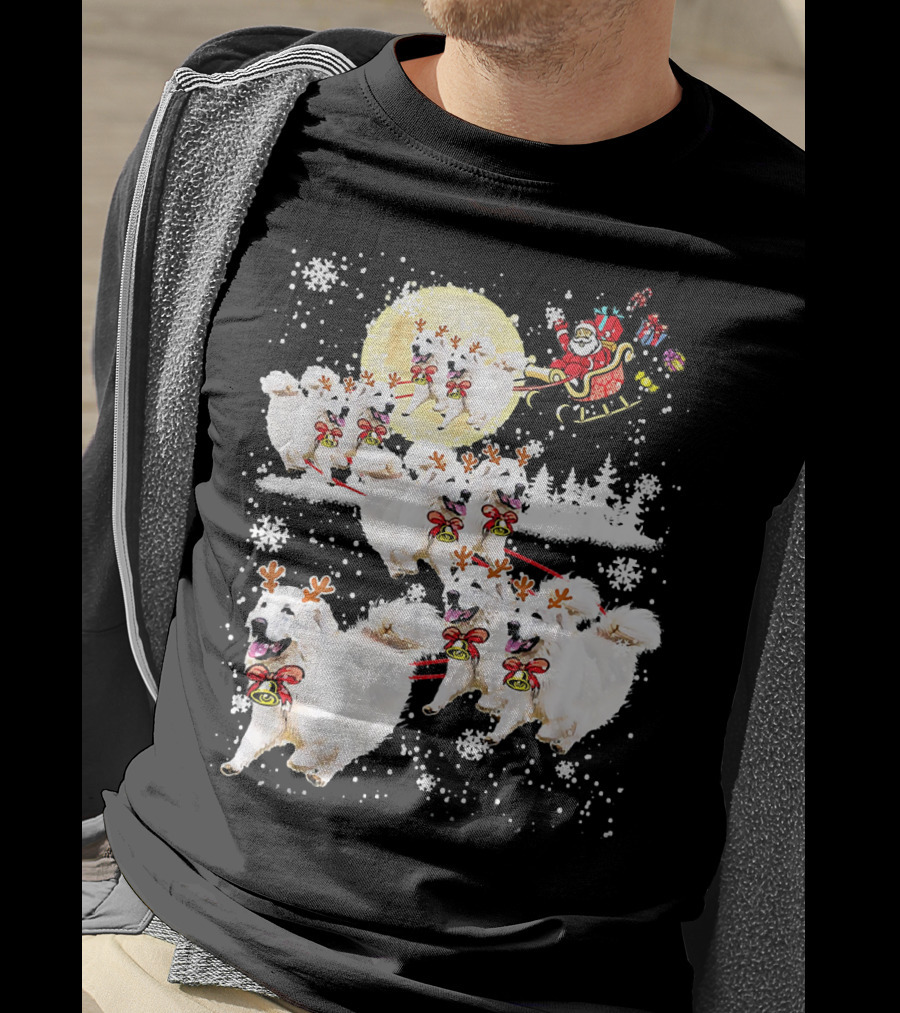 Great Pyrenees Reindeer Santa Christmas With Sleigh And Snowflakes T-Shirt