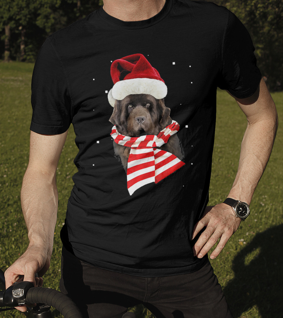 Newfoundland Santa Merry Christmas Dog With Red Hat And Scarf T-Shirt