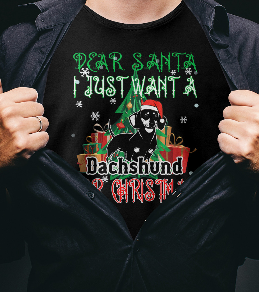Dear Santa I Just Want A Dachshund For Christmas T-Shirt
