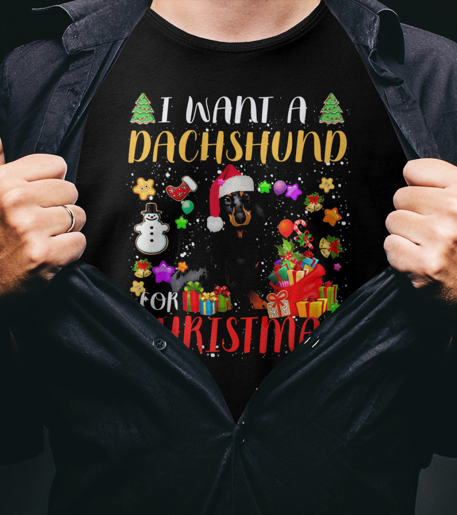 I Want A Dachshund For Christmas Santa Hat Presents Snowman T-Shirt