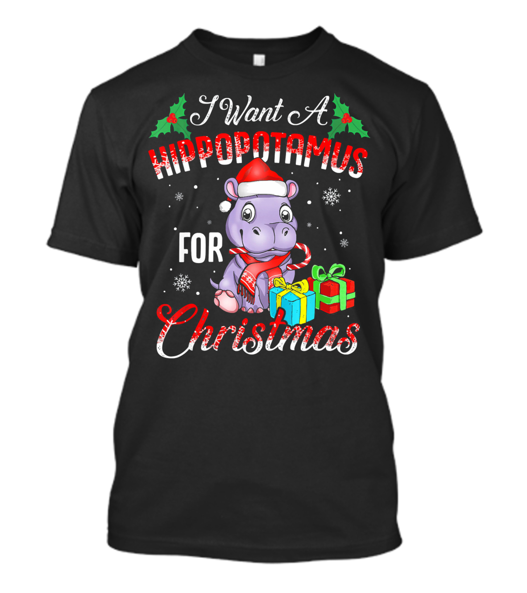 I Want A Hippopotamus For Christmas Funny Hippo Xmas T-Shirt