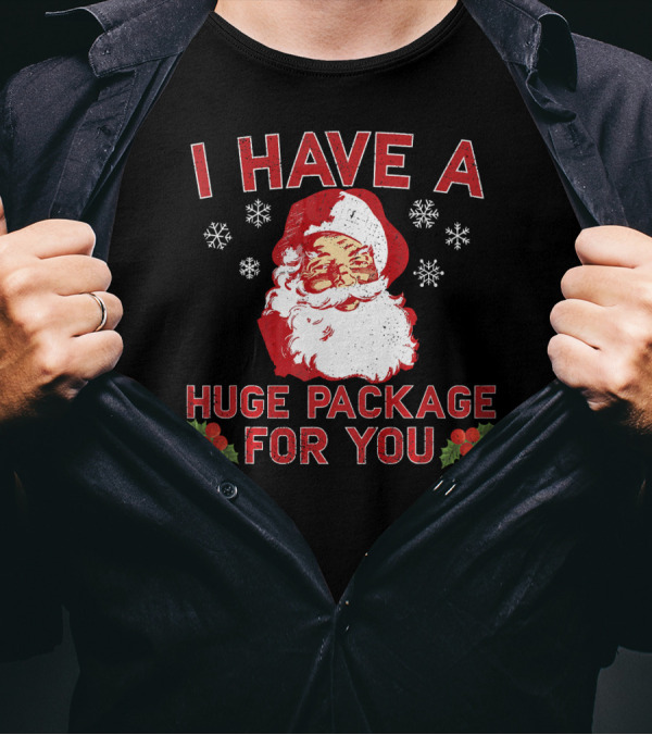 I Have A Huge Package For You Santa Christmas Snowflakes T-Shirt