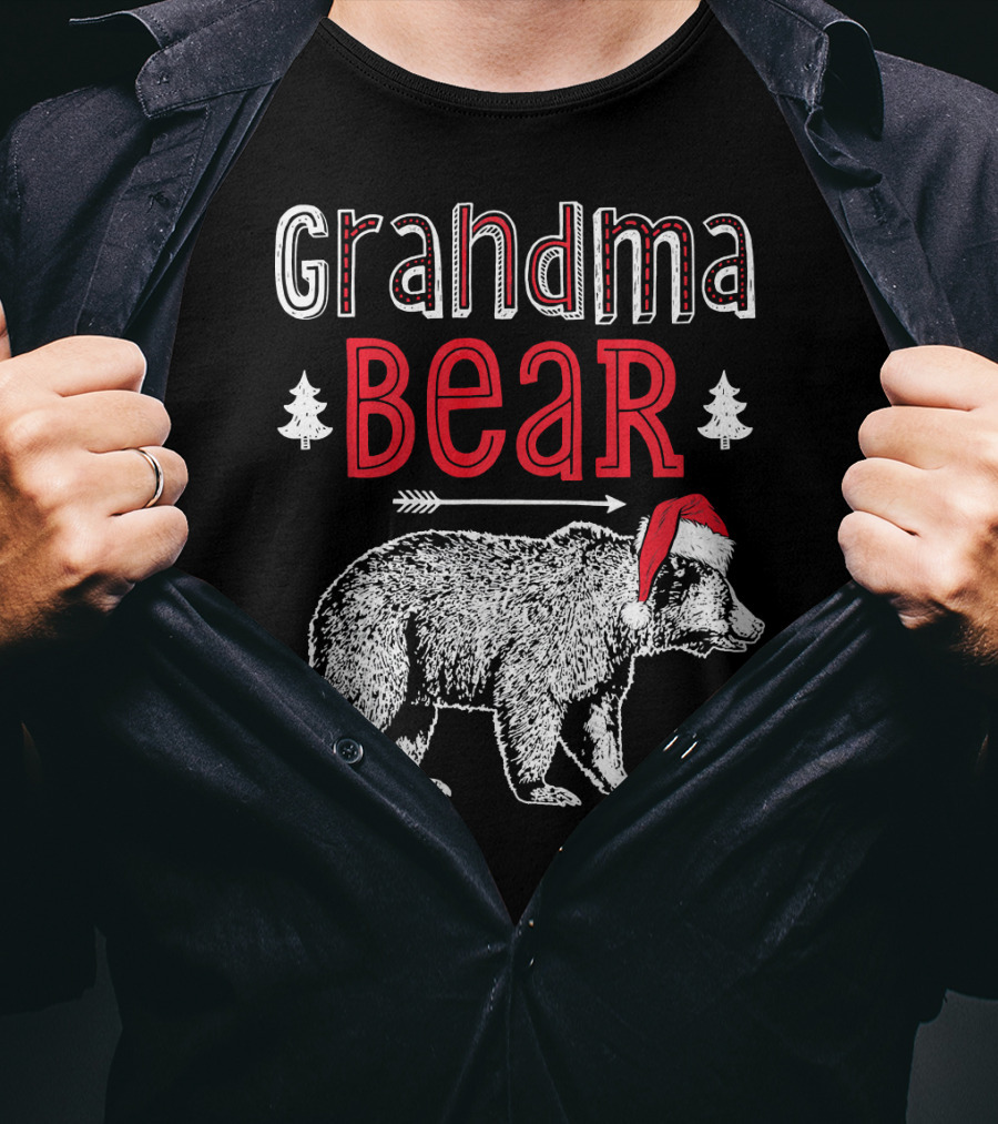 Grandma Bear Christmas Santa Hat Family Holiday Winter T-Shirt