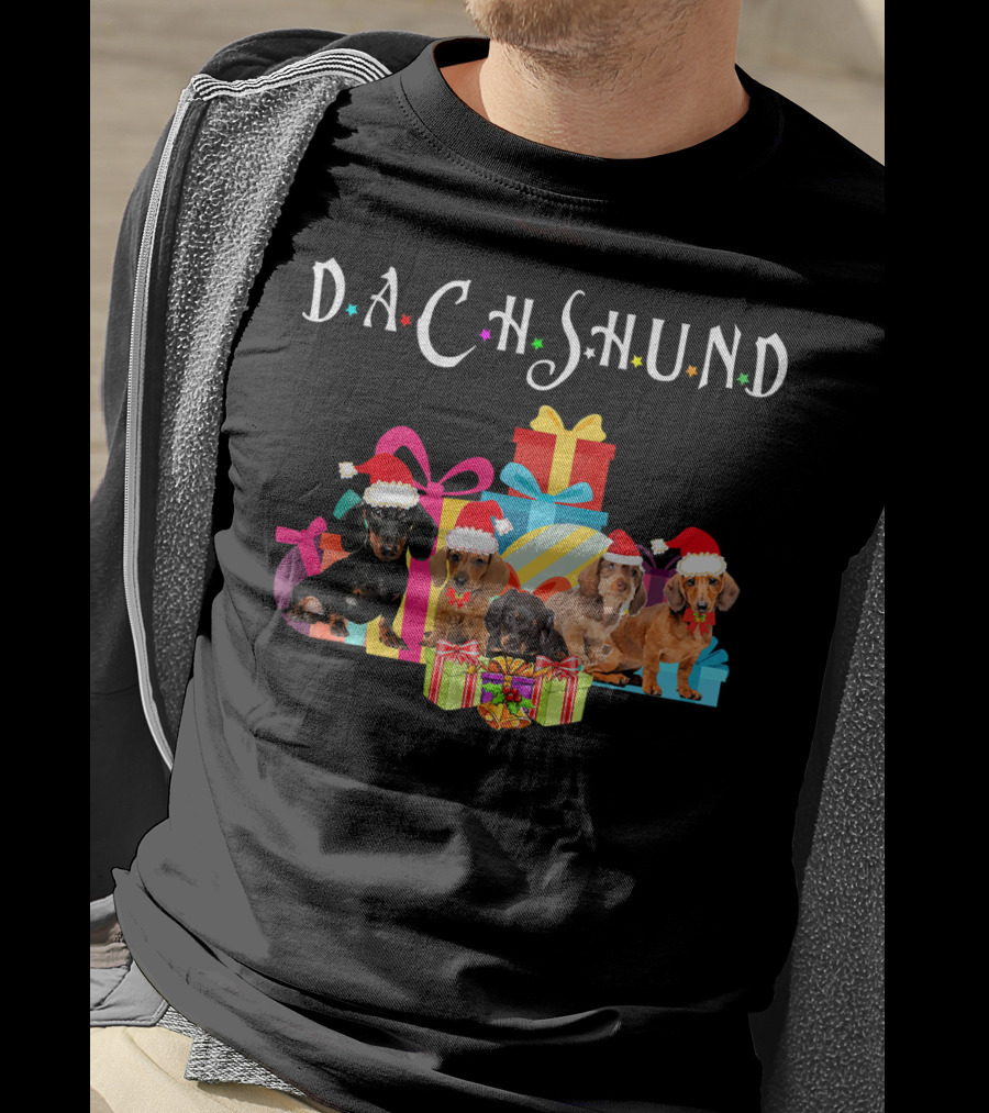 Dachshund Puppies Christmas Santa Hat Gifts T-Shirt