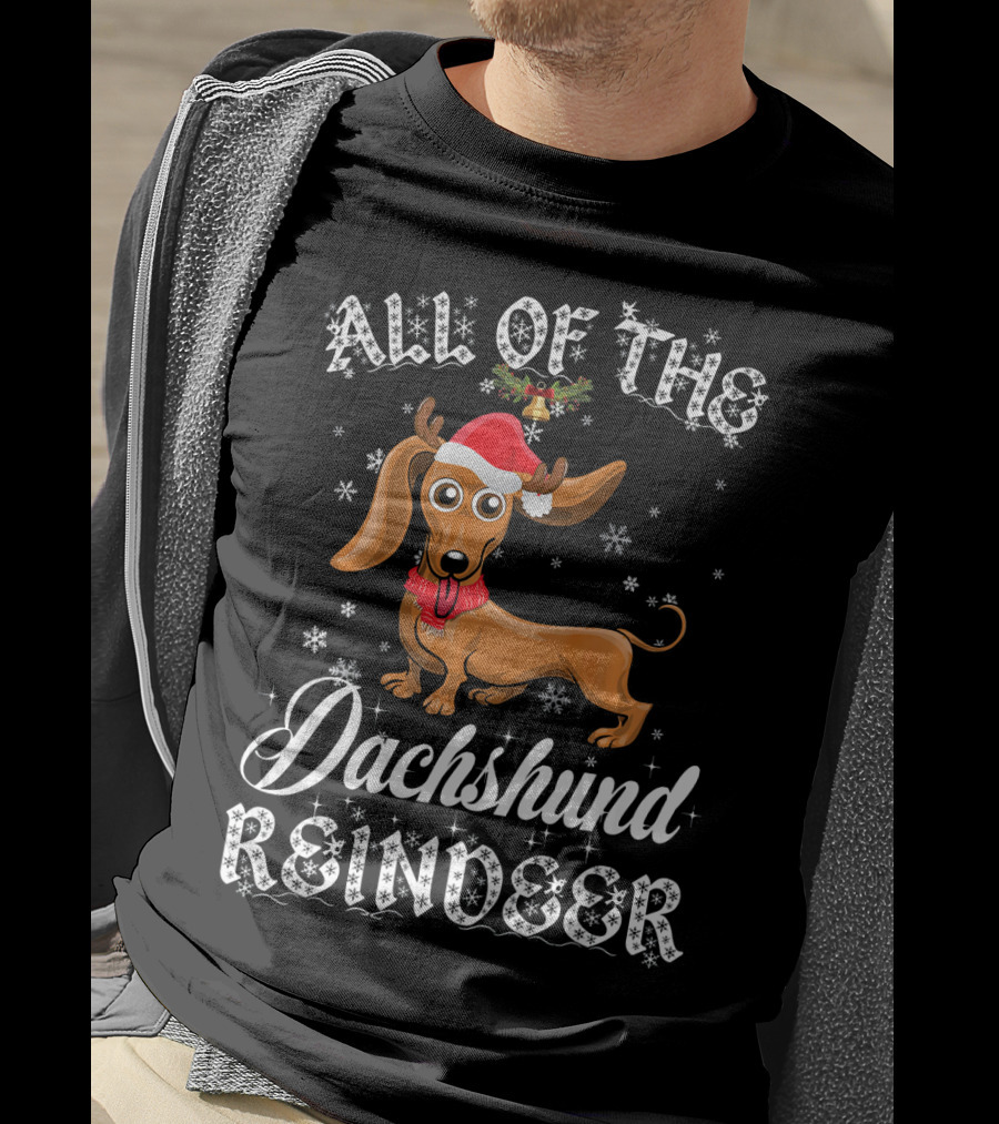 All Of The Dachshund Reindeer Santa Hat Snowflakes T-Shirt