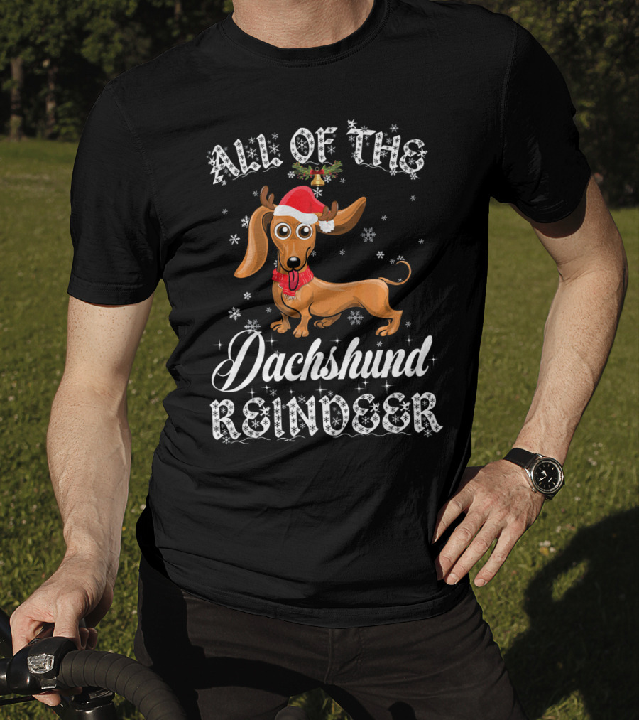 All Of The Dachshund Reindeer Santa Hat Snowflakes T-Shirt