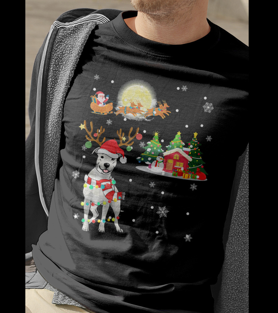Santa's Sleigh And Festive Dogo Argentino Christmas Wonderland T-Shirt