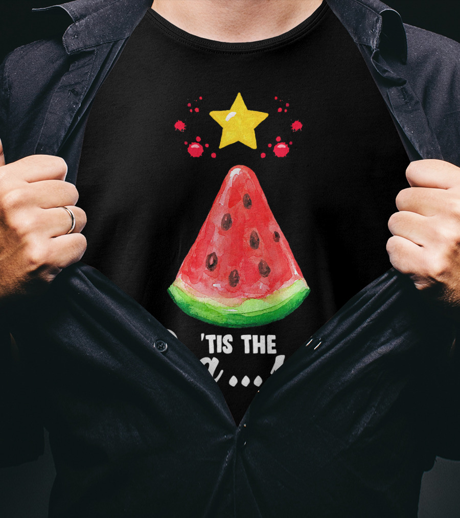'Tis The Seasun Watermelon Slice With Summer Star T-Shirt