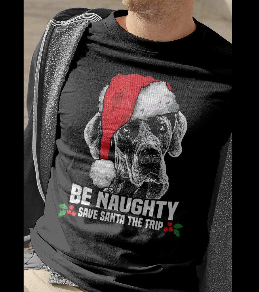 Be Naughty Save Santa The Trip Great Dane Santa Hat T-Shirt