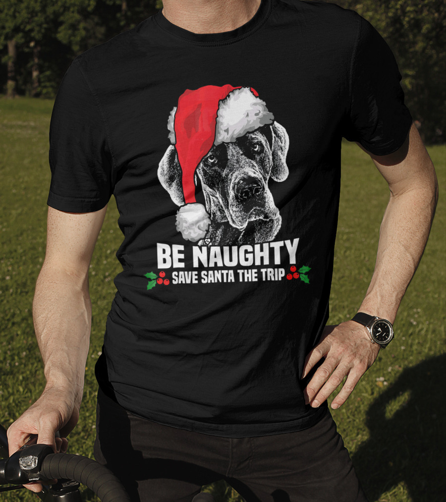 Be Naughty Save Santa The Trip Great Dane Santa Hat T-Shirt