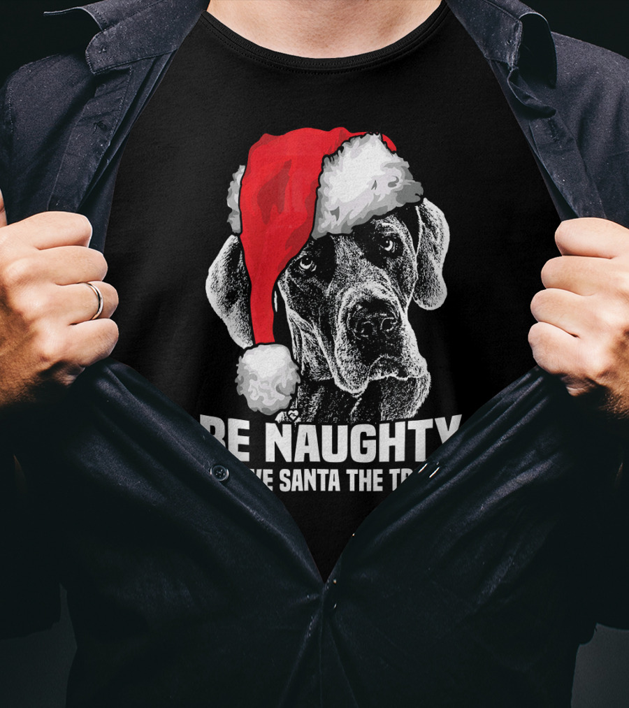 Be Naughty Save Santa The Trip Great Dane Santa Hat T-Shirt