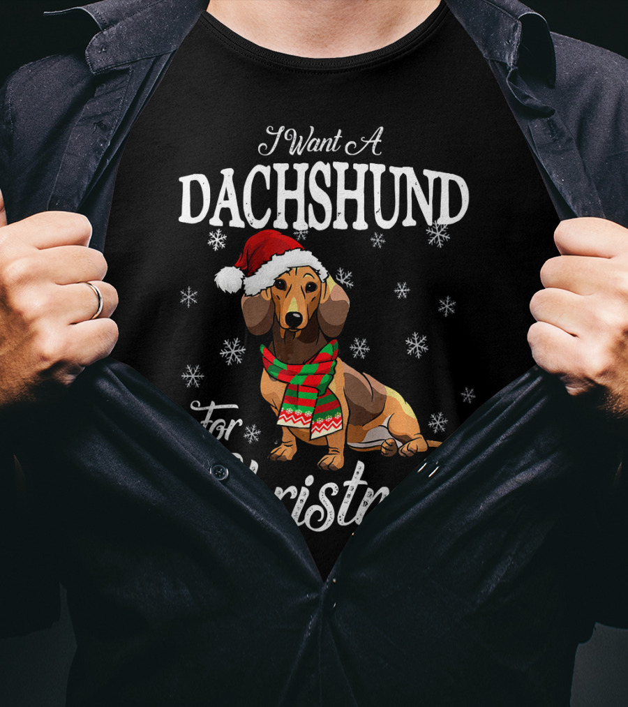 I Want A Dachshund Wearing Santa Hat And Scarf For Christmas Snowflakes T-Shirt