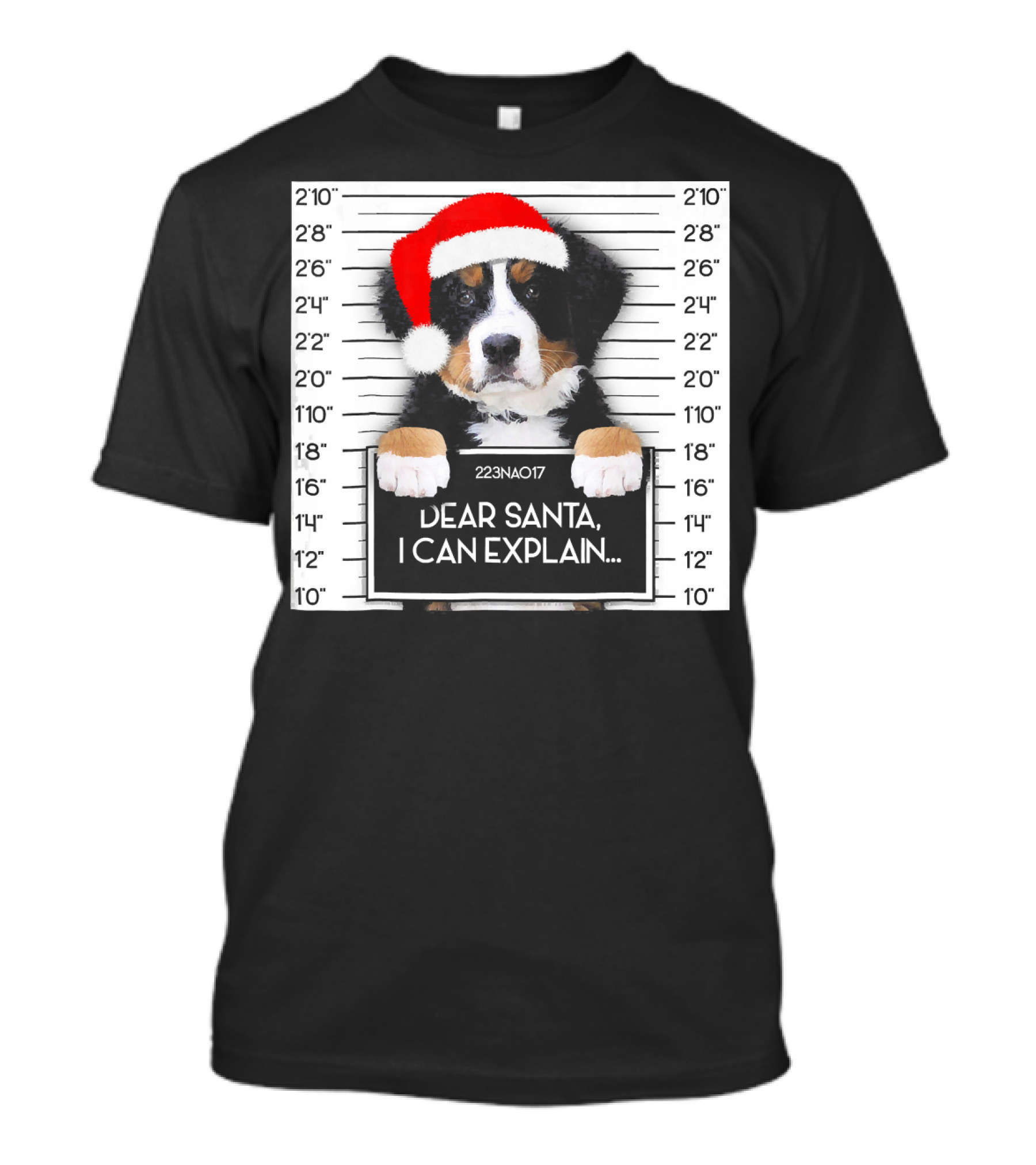 Xmas Bernese Mountain Dog Lover Santa Hat Dear Santa I Can Explain T-Shirt
