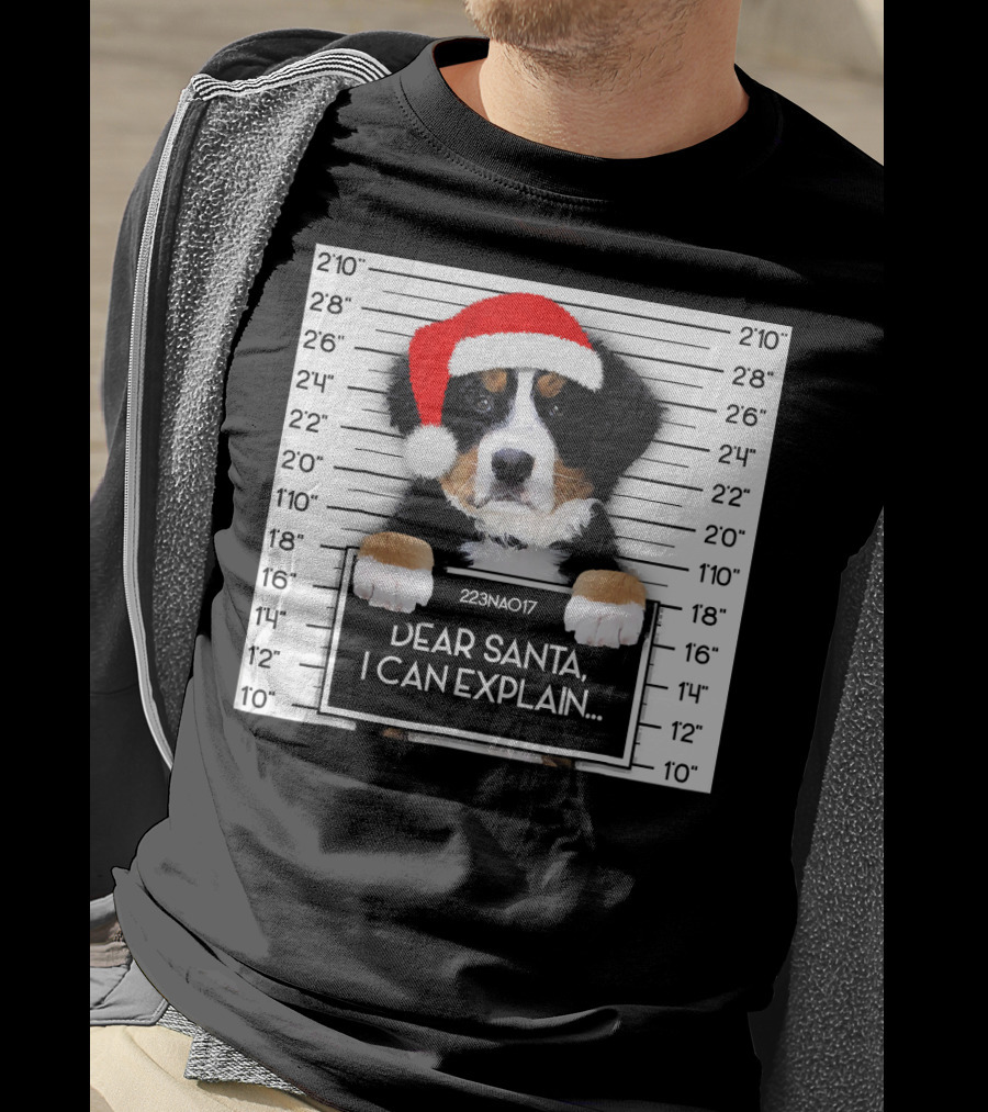 Xmas Bernese Mountain Dog Lover Santa Hat Dear Santa I Can Explain T-Shirt