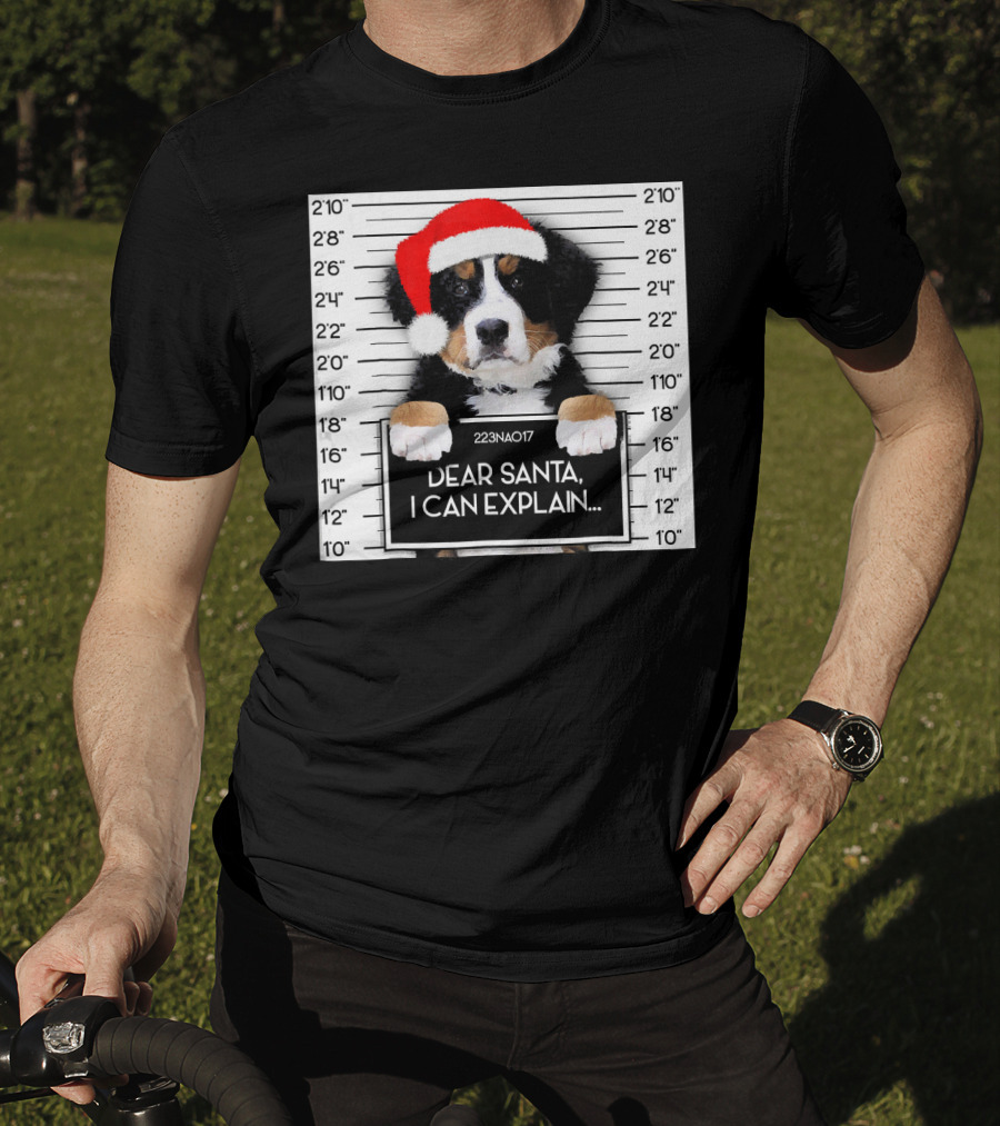 Xmas Bernese Mountain Dog Lover Santa Hat Dear Santa I Can Explain T-Shirt