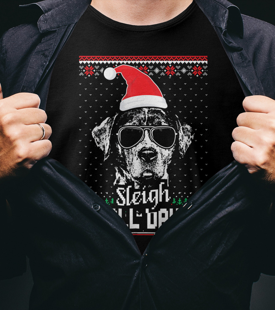 Sleigh All Day Funny Catahoula Cur Christmas Dog With Santa Hat And Sunglasses T-Shirt
