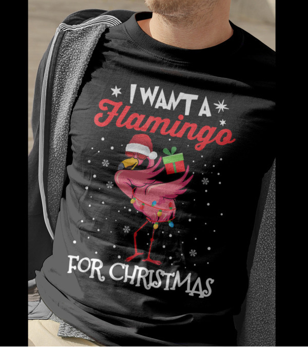I Want A Flamingo For Christmas Santa Hat Lights Snowflakes Gift Box T-Shirt