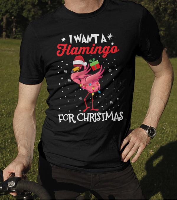 I Want A Flamingo For Christmas Santa Hat Lights Snowflakes Gift Box T-Shirt