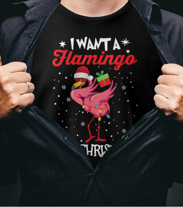 I Want A Flamingo For Christmas Santa Hat Lights Snowflakes Gift Box T-Shirt