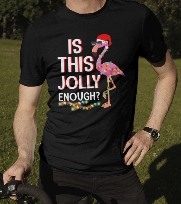 Is This Jolly Enough Flamingo Christmas Lights Santa Hat Sunglasses T-Shirt