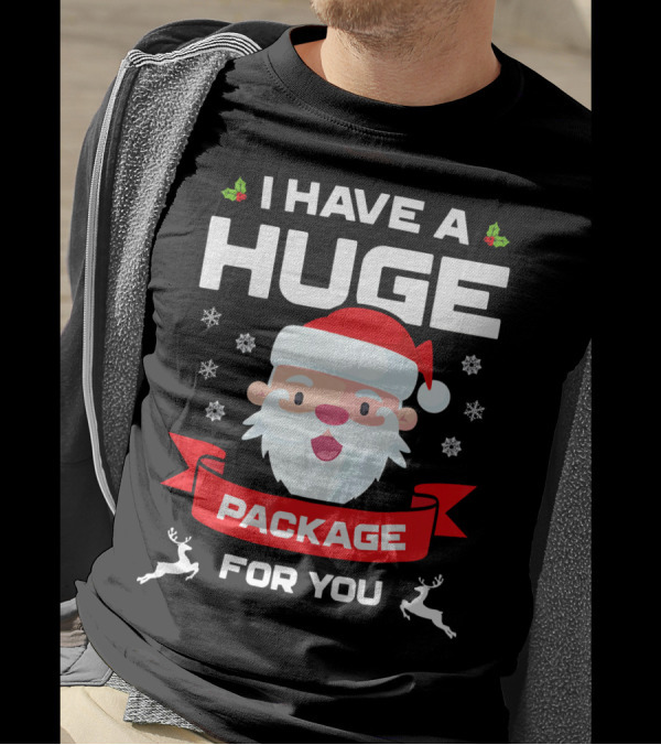 I Have A Huge Package For You Santa Snowflakes Reindeer Christmas T-Shirt