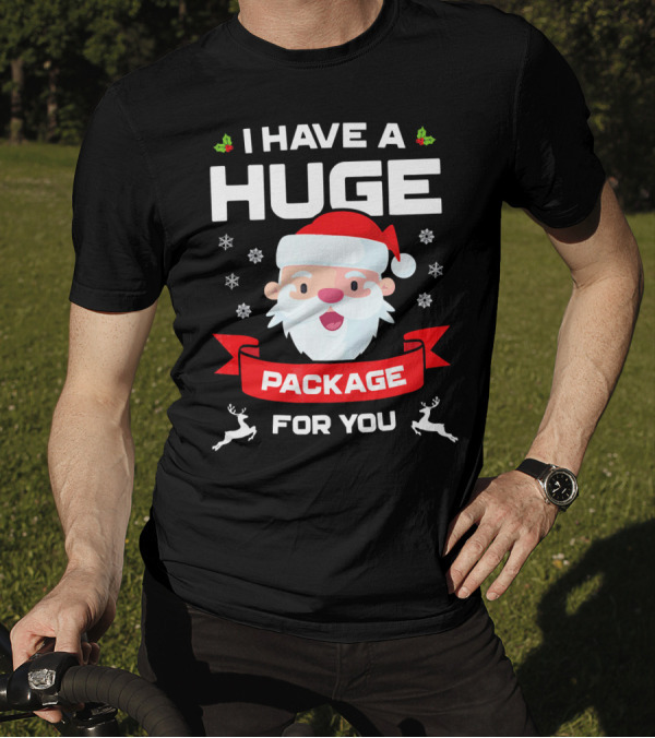 I Have A Huge Package For You Santa Snowflakes Reindeer Christmas T-Shirt