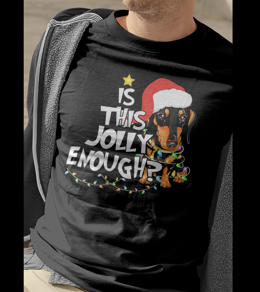 Is This Jolly Enough Christmas Dachshund With Santa Hat And Lights T-Shirt