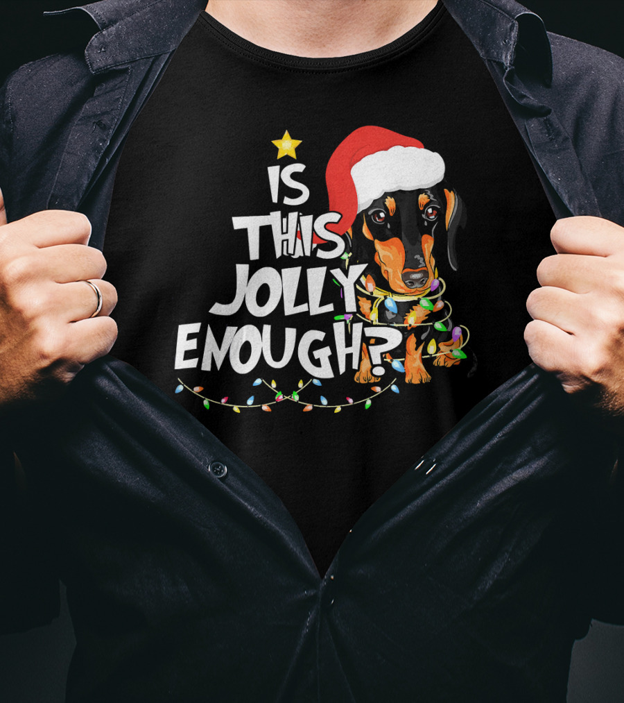 Is This Jolly Enough Christmas Dachshund With Santa Hat And Lights T-Shirt