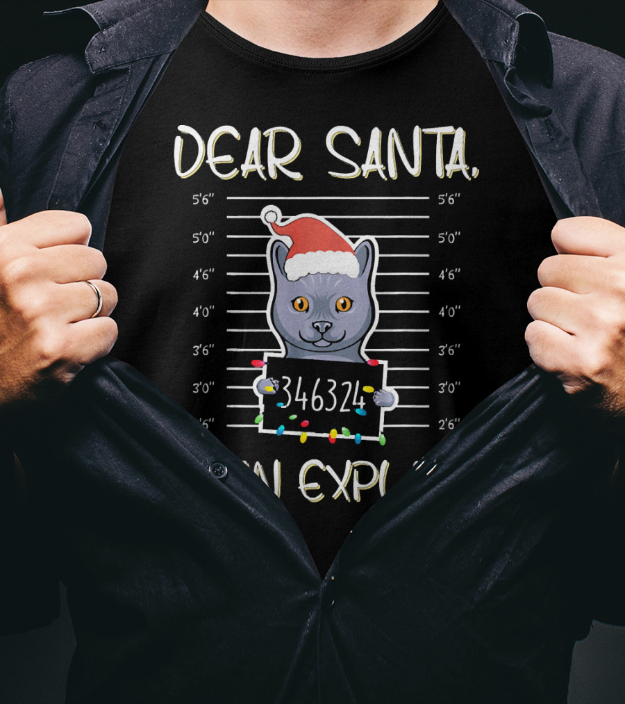 Dear Santa Cat Mugshot I Can Explain Christmas Cats Lover T-Shirt