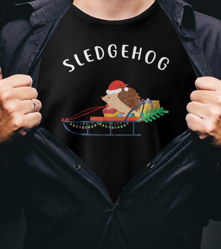 Sledgehog Santa Hedgehog On Christmas Sled With Presents T-Shirt
