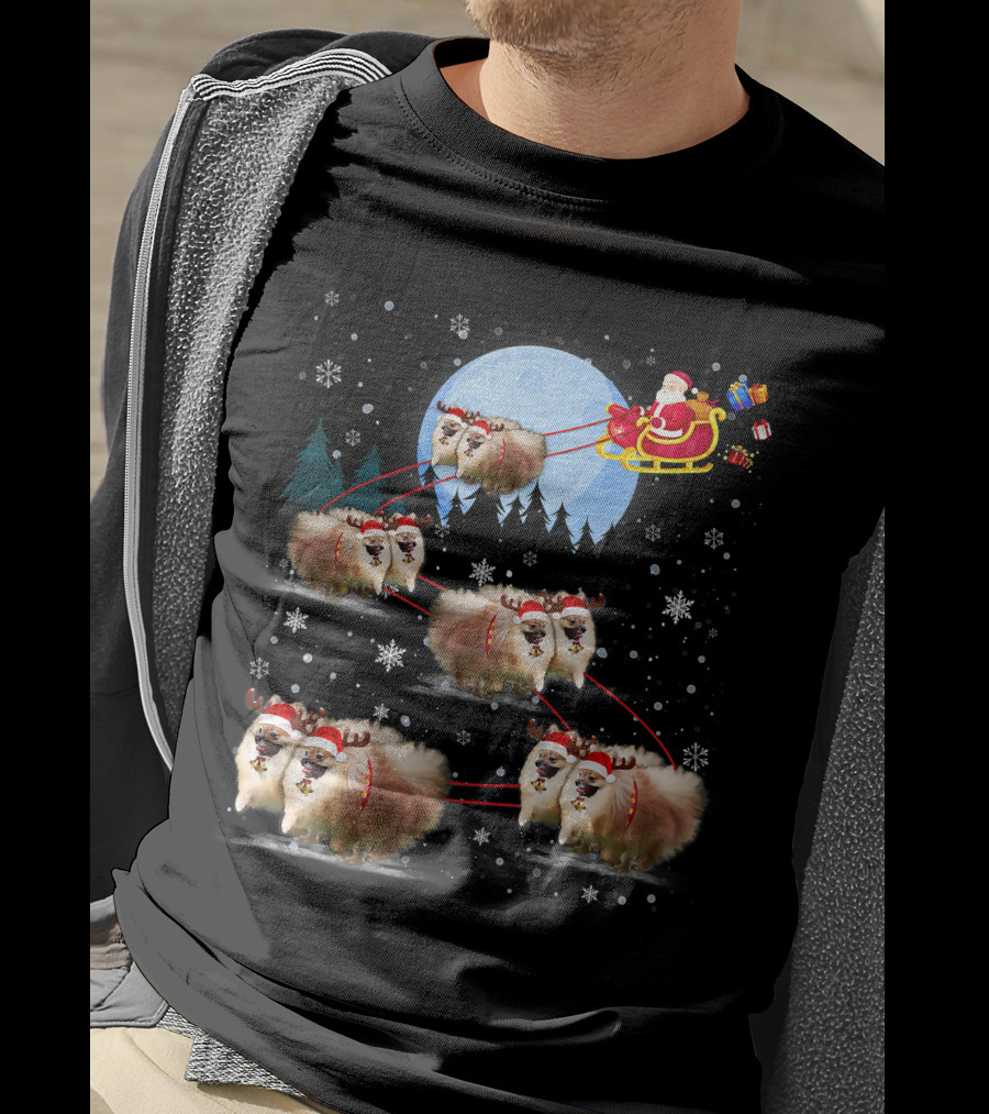 Pomeranian Reindeer Santa Sleigh Christmas Under Moonlight T-Shirt