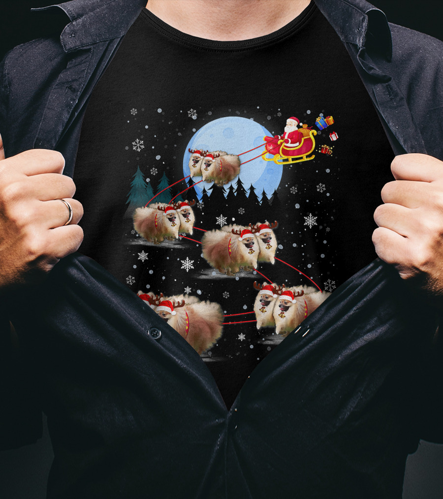 Pomeranian Reindeer Santa Sleigh Christmas Under Moonlight T-Shirt
