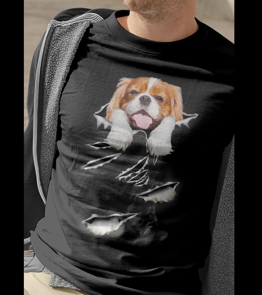 Cavalier King Charles Spaniel Scratch Torn Paws And Face Peeking Through T-Shirt