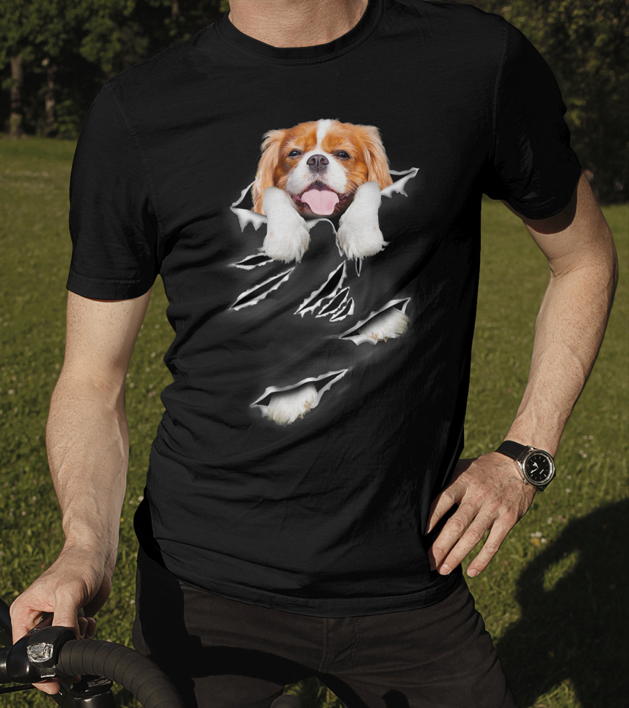 Cavalier King Charles Spaniel Scratch Torn Paws And Face Peeking Through T-Shirt