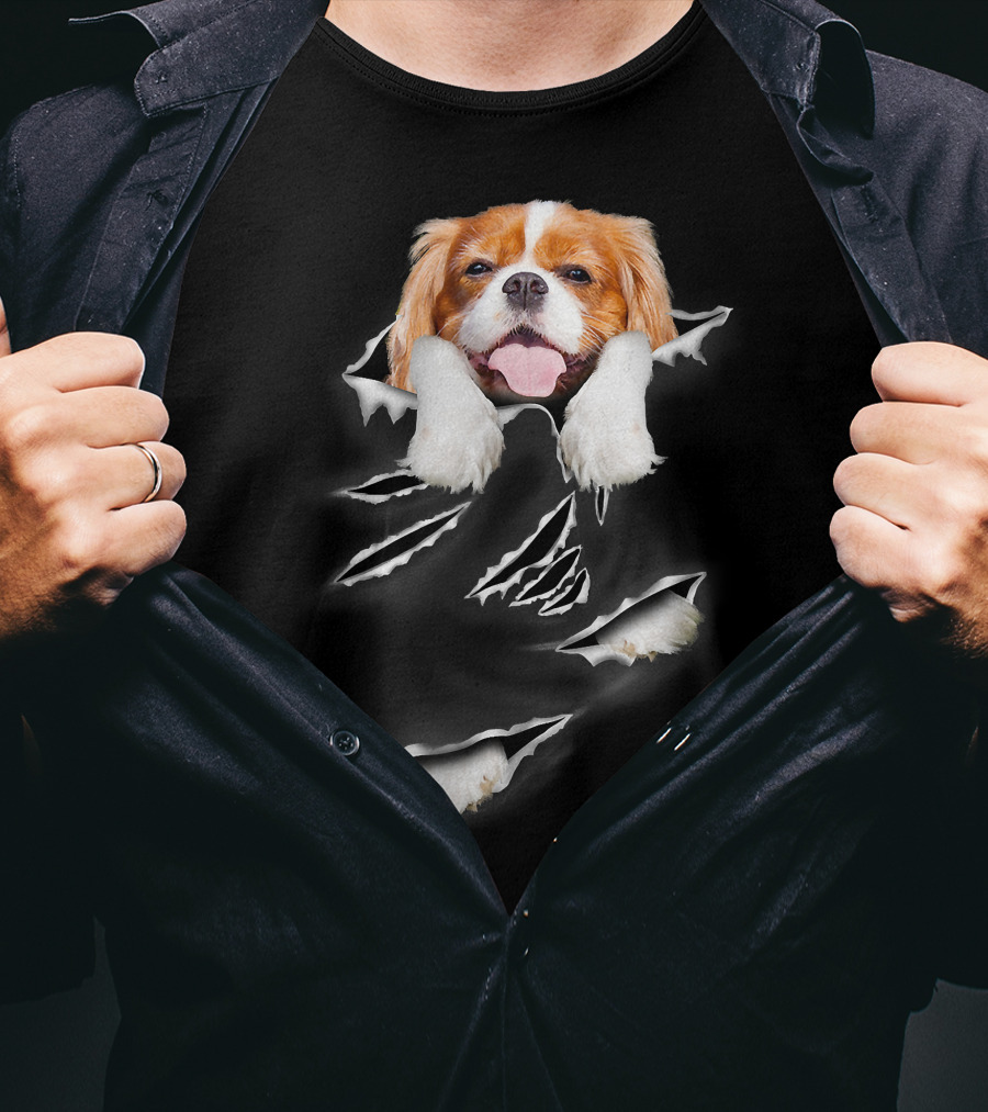 Cavalier King Charles Spaniel Scratch Torn Paws And Face Peeking Through T-Shirt