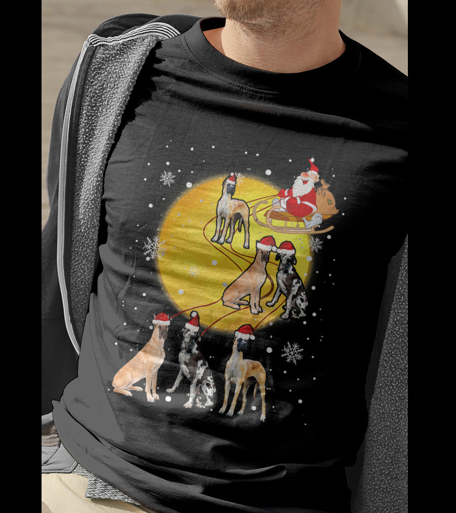 Santa Claus Sleigh Great Dane Reindeer Pack Moon Snowflakes T-Shirt