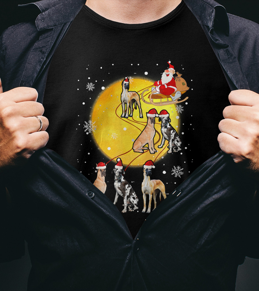 Santa Claus Sleigh Great Dane Reindeer Pack Moon Snowflakes T-Shirt