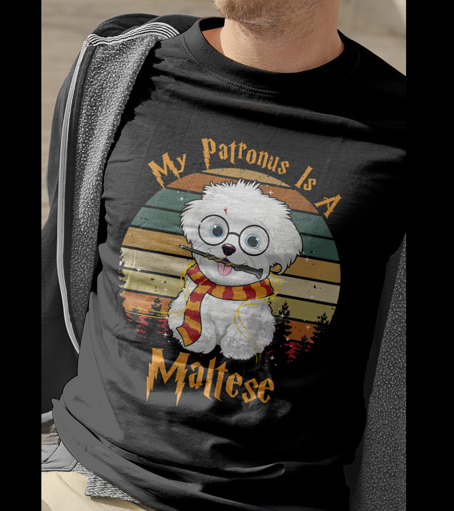 My Patronus Is A Maltese Dog With Wizard Glasses And Scarf In Colorful Circle T-Shirt